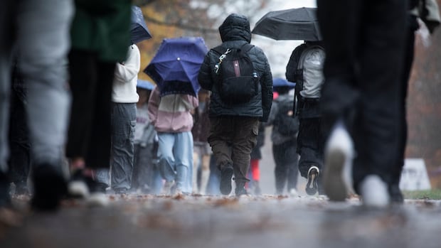 Strong wind and rain warnings in place for Haida Gwaii, B.C. North Coast and north Vancouver Island