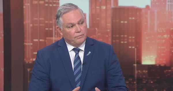 Minister walks back 'corrupt police' remark after McSkimming report