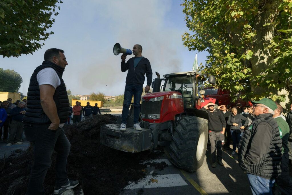 French winegrowers set to protest as industry faces crisis