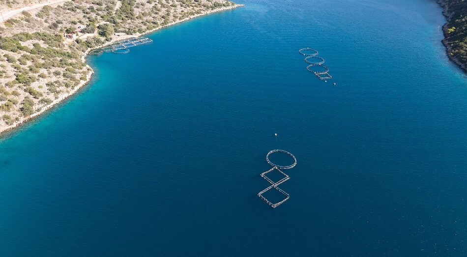 Ghost divers remove ‘floating scrapyard’ in Greece 1 The site before the operation (Healthy Seas Foundation)