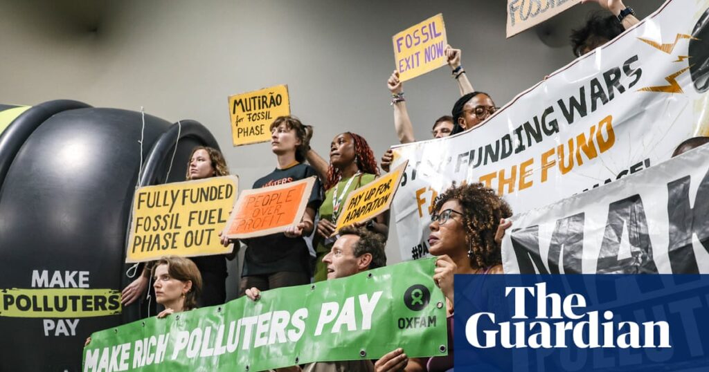 The two extraordinary young activists making me feel optimistic at Cop30 | Environment