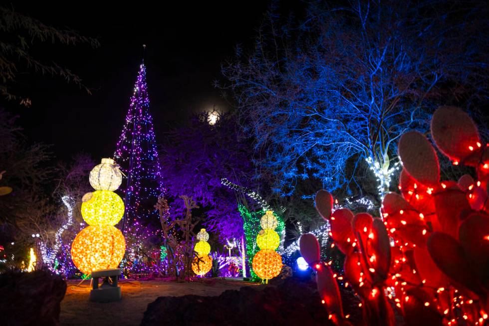 Ethel M Chocolates' Holiday Cactus Garden is seen on Monday, Dec. 16, 2024, in Henderson. (Chas ...