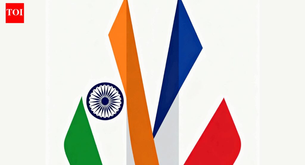 France's 'Hammer' arms to be manufactured in India | India News
