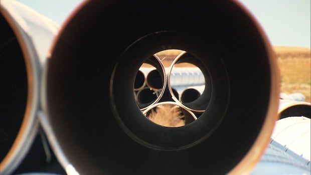 Liberals say caucus is united despite former environment minister's resignation from cabinet