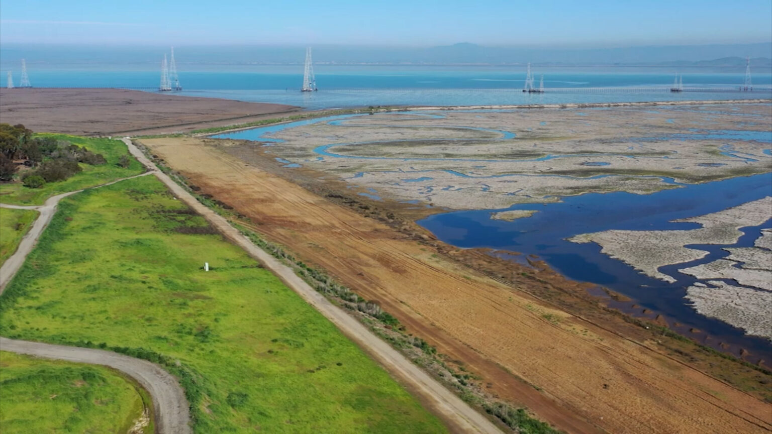 State of our Estuary: Environmental report card has mixed grade for San Francisco Bay Estuary