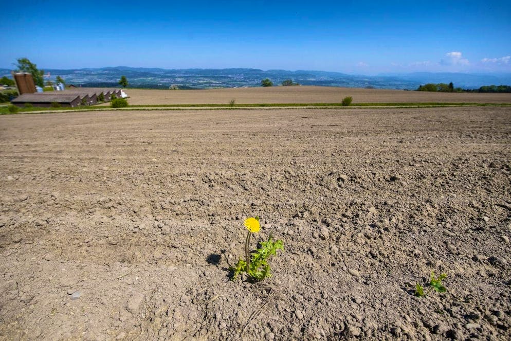 Switzerland will remain increasingly dry in the future.