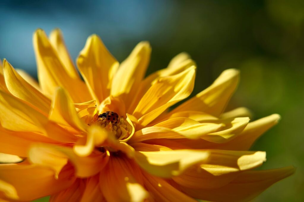 Longwood Gardens, PA