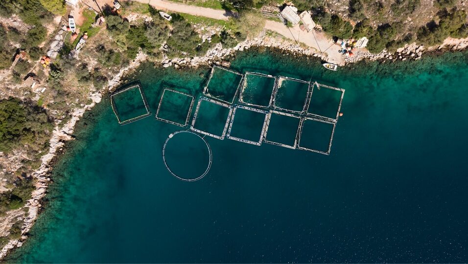 Ghost divers remove ‘floating scrapyard’ in Greece 2 The inshore section of the abandoned fish-farm (Healthy Seas Foundation)