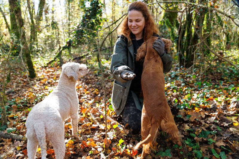 Croatia’s truffle hunters pursue one of world’s priciest delicacies | WKZO | Everything Kalamazoo