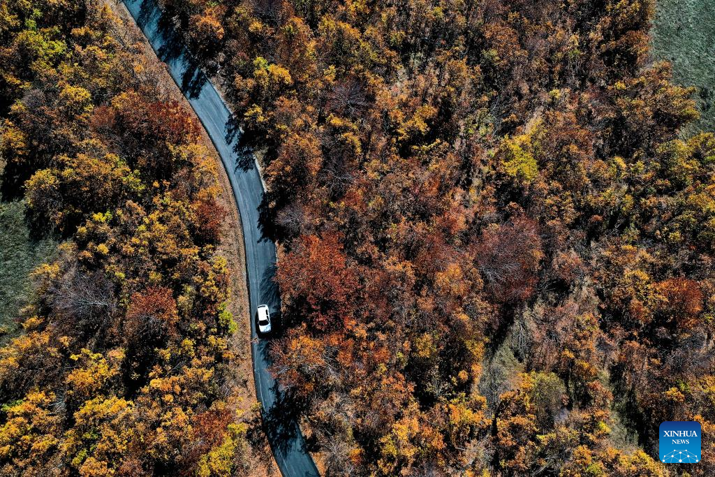 Autumn view of Skopska Crna Gora in North Macedonia -Xinhua