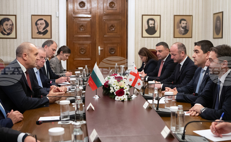 Bulgaria, Georgia Have Potential to Deepen Connectivity, President Radev Says