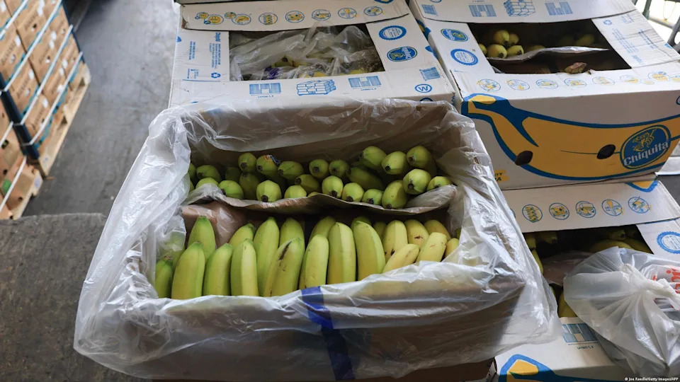 Tariffs on tropical fruit will be reduced<span class="copyright">Joe Raedle/Getty Images/AFP</span>