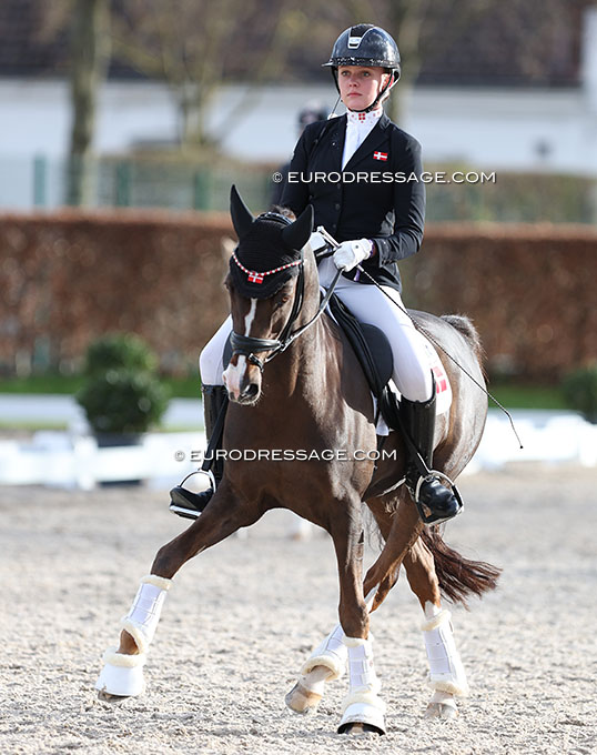 Medal Winning Pony D'Artagnan Finds New Rider in Denmark