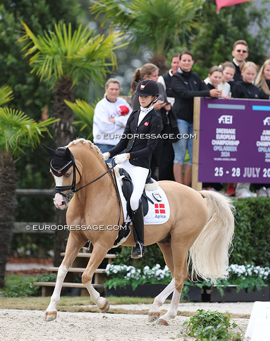 Danish Team Pony Crown Charm of Royal Stays in Denmark