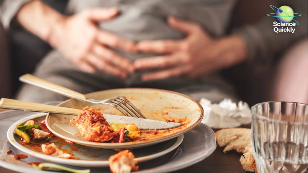 Gut Health Tips for Thanksgiving and Holiday Stress