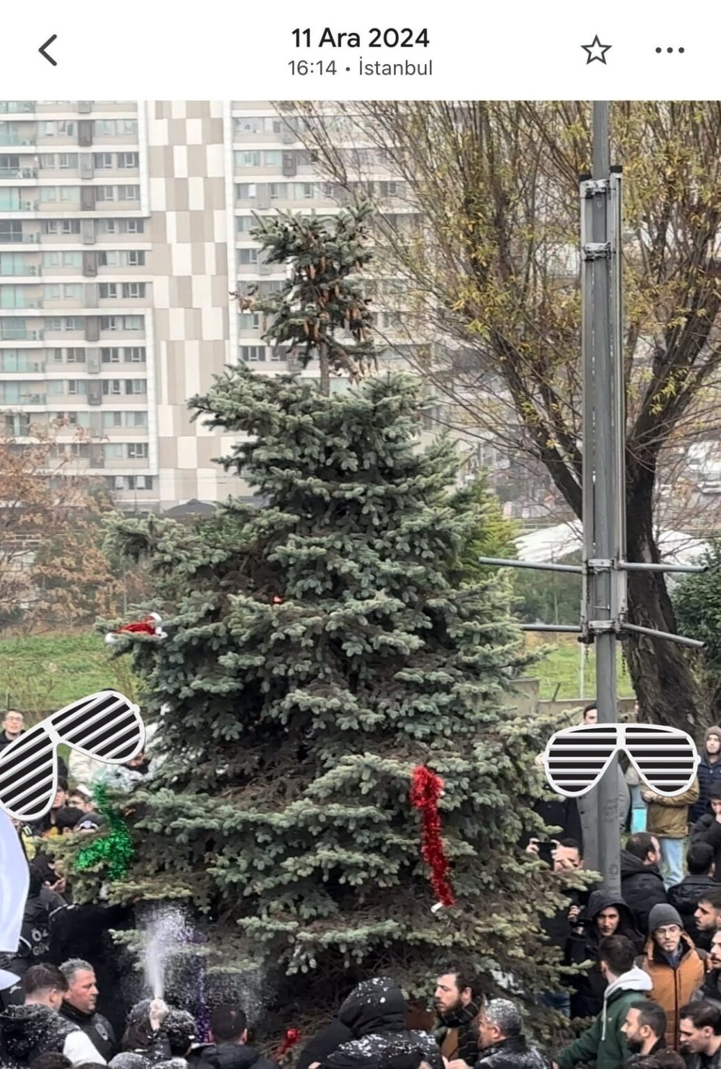 YTU Christmas tree was poisoned