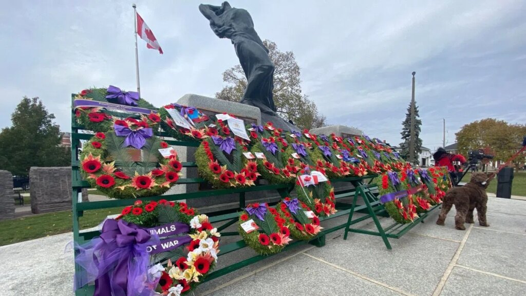From Bosnia to Gaza: a Canadian veteran on the true cost of freedom