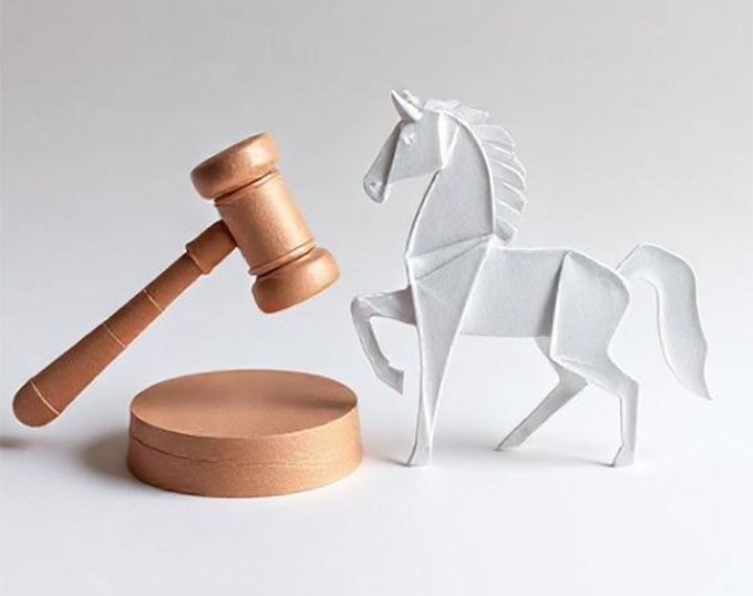 Steward Acquitted in Controversial Animal Welfare Case in Denmark