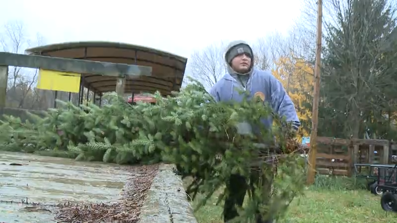 Trees for Troops celebrates 30 years in Poland