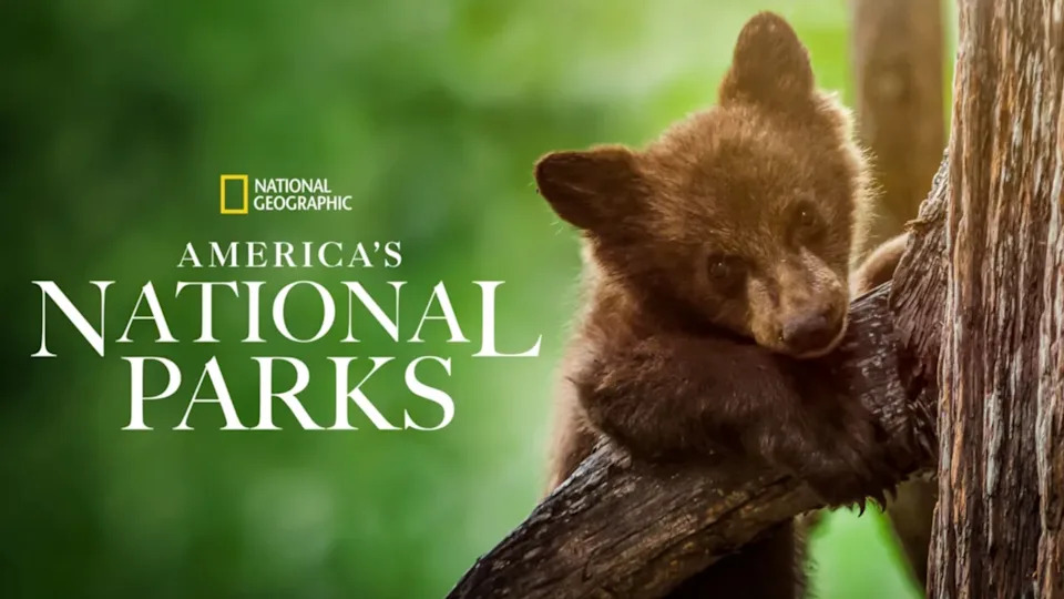 A young bear leans on a tree branch, with "America's National Parks" text beside it. National Geographic logo appears in the corner