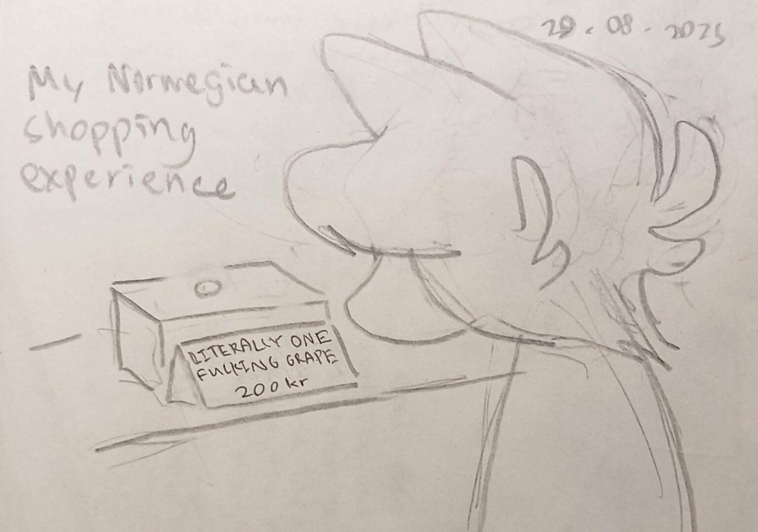 A meme I drew after visiting Norway for the first time