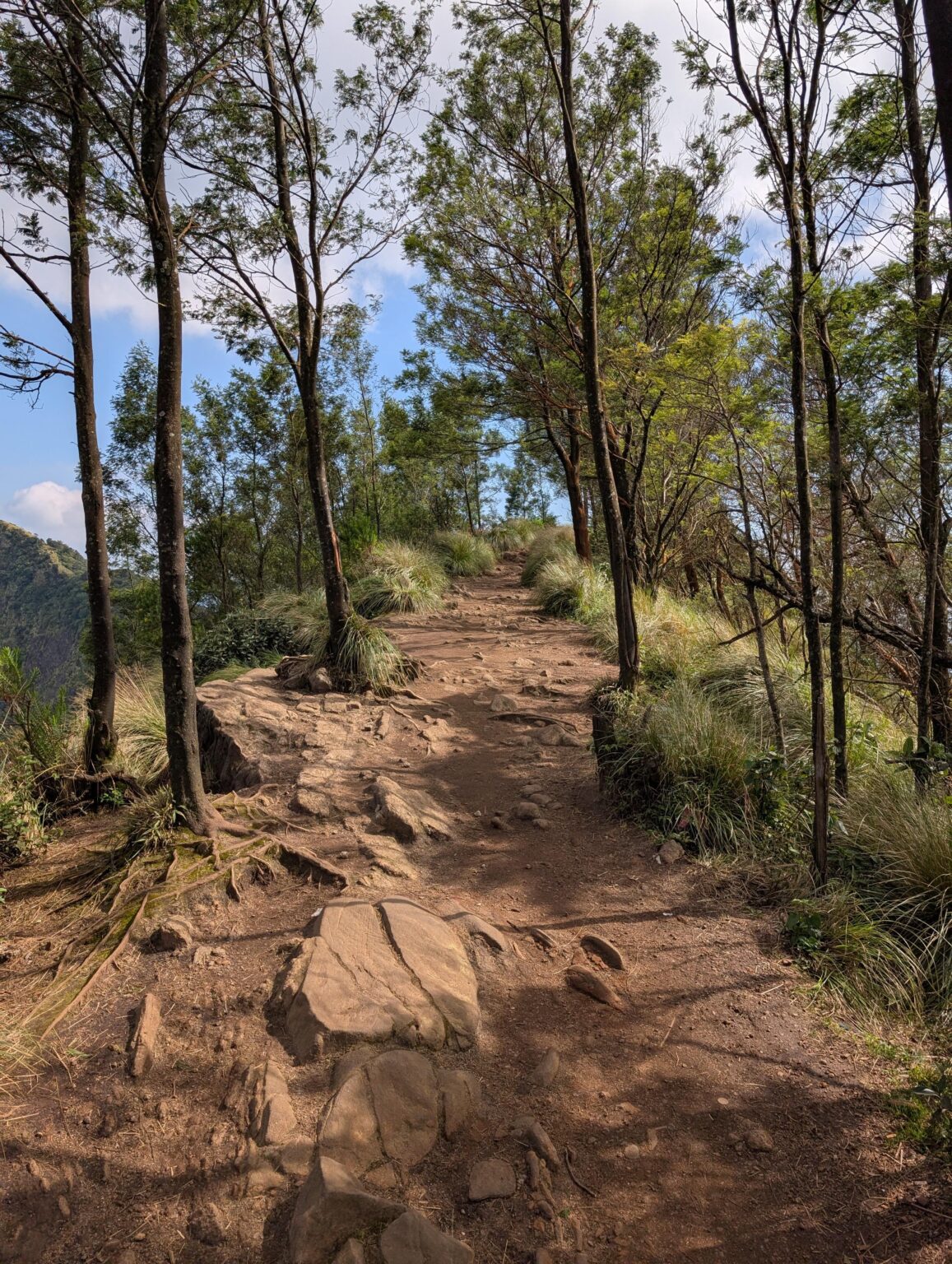 Beautiful day everyone