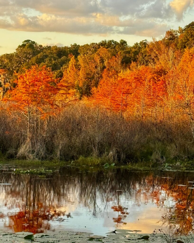 It was a beautiful day for a walk