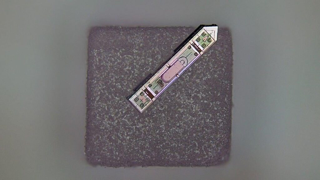 This Wireless Brain Implant Is Smaller Than a Grain of Salt