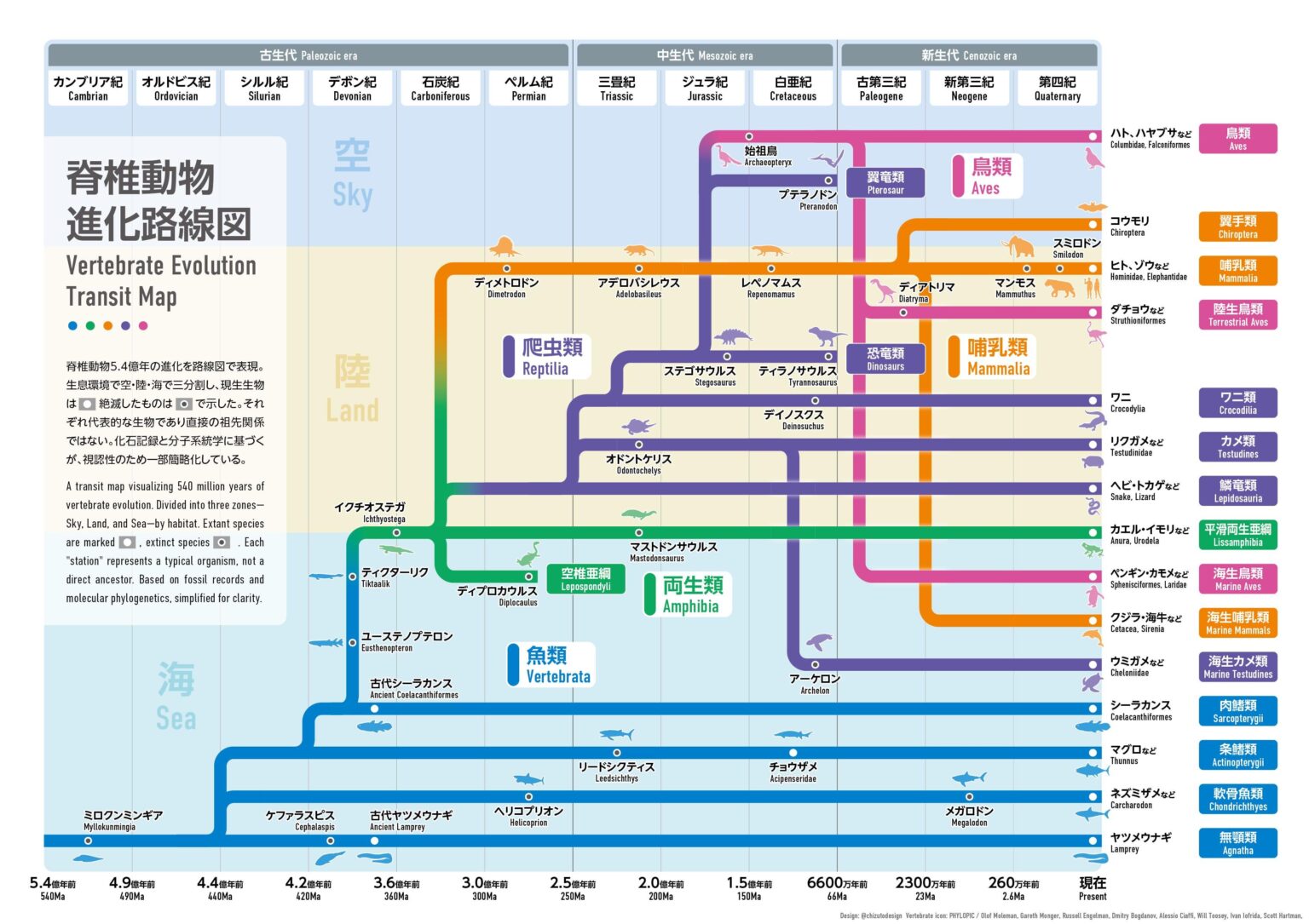[OC] 540 million years of vertebrate evolution as a transit map