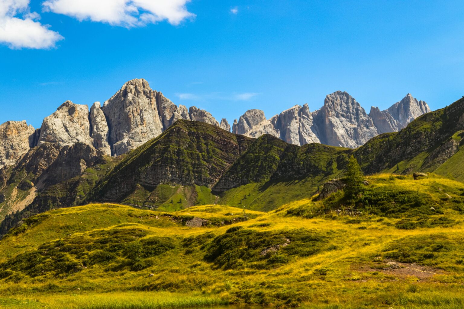 Parco nazionale delle Dolomiti Bellunesi