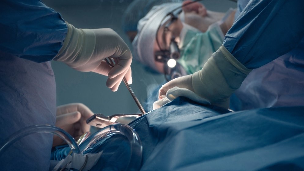 Over 32,000 patients in Türkiye await life-saving organ transplants