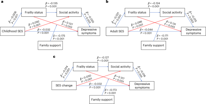 Linking socioeconomic status to depressive symptoms in aging populations