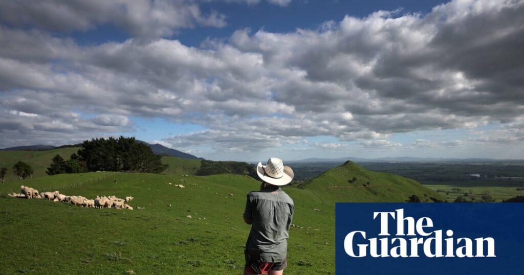 Working the land but rarely owning it: life for New Zealand’s young farmers | New Zealand Working the land but rarely owning it: life for New Zealand’s young farmers | New Zealand