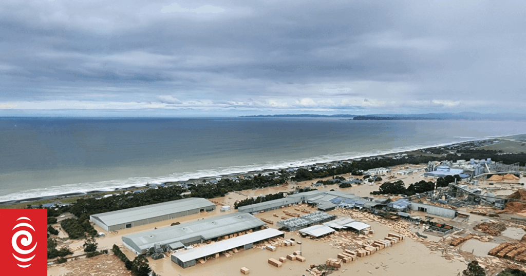 State Highway 2 to be raised 1.8 metres as flood project gets under way