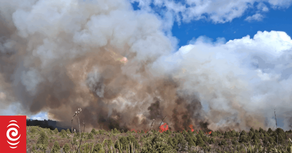 Large fire in Tongariro Forest Park, call to avoid area