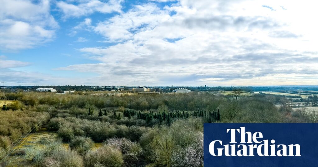 ‘Sustainable’ Cambridge busway will cause irreversible ecological harm, inquiry told | Environment
