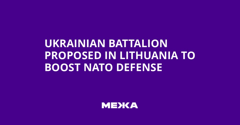 Ukrainian Battalion Proposed in Lithuania to Boost NATO Defense | Ukraine news