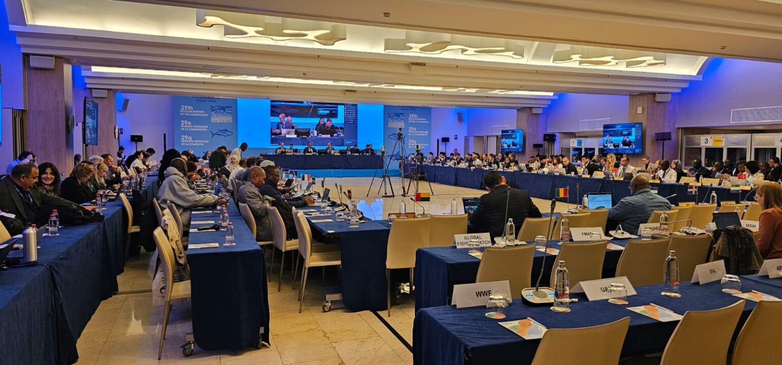 Bugeja Said claims Malta set to benefit from major increase in tuna quotas