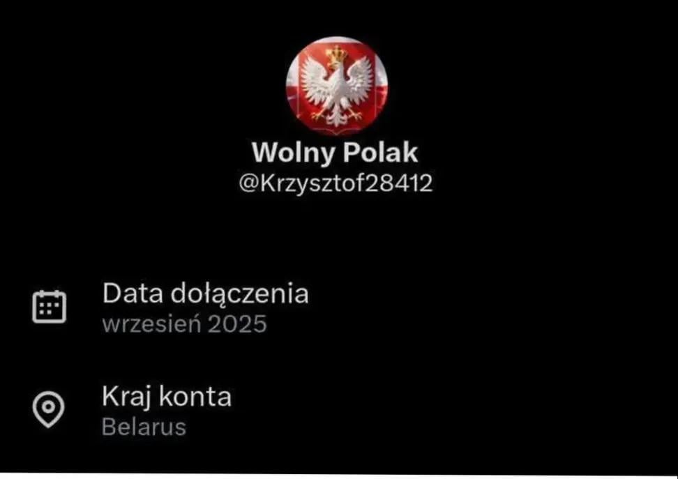 Literally every second anti-EU, anti-Ukrainian, right profile on X