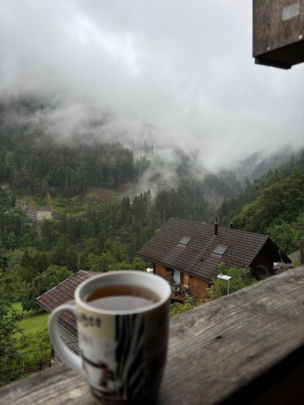 Good morning everyone