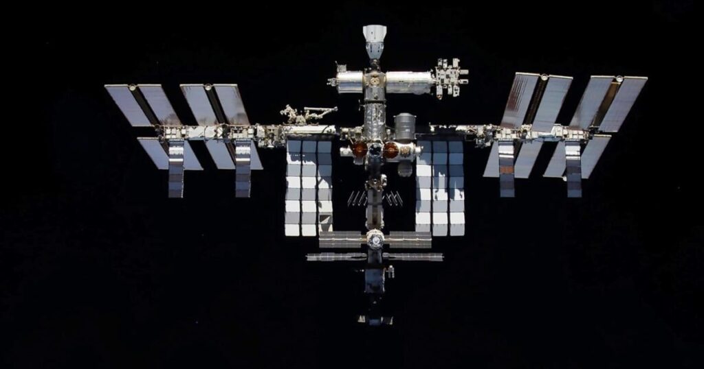Moss survived in space for nine months, study finds