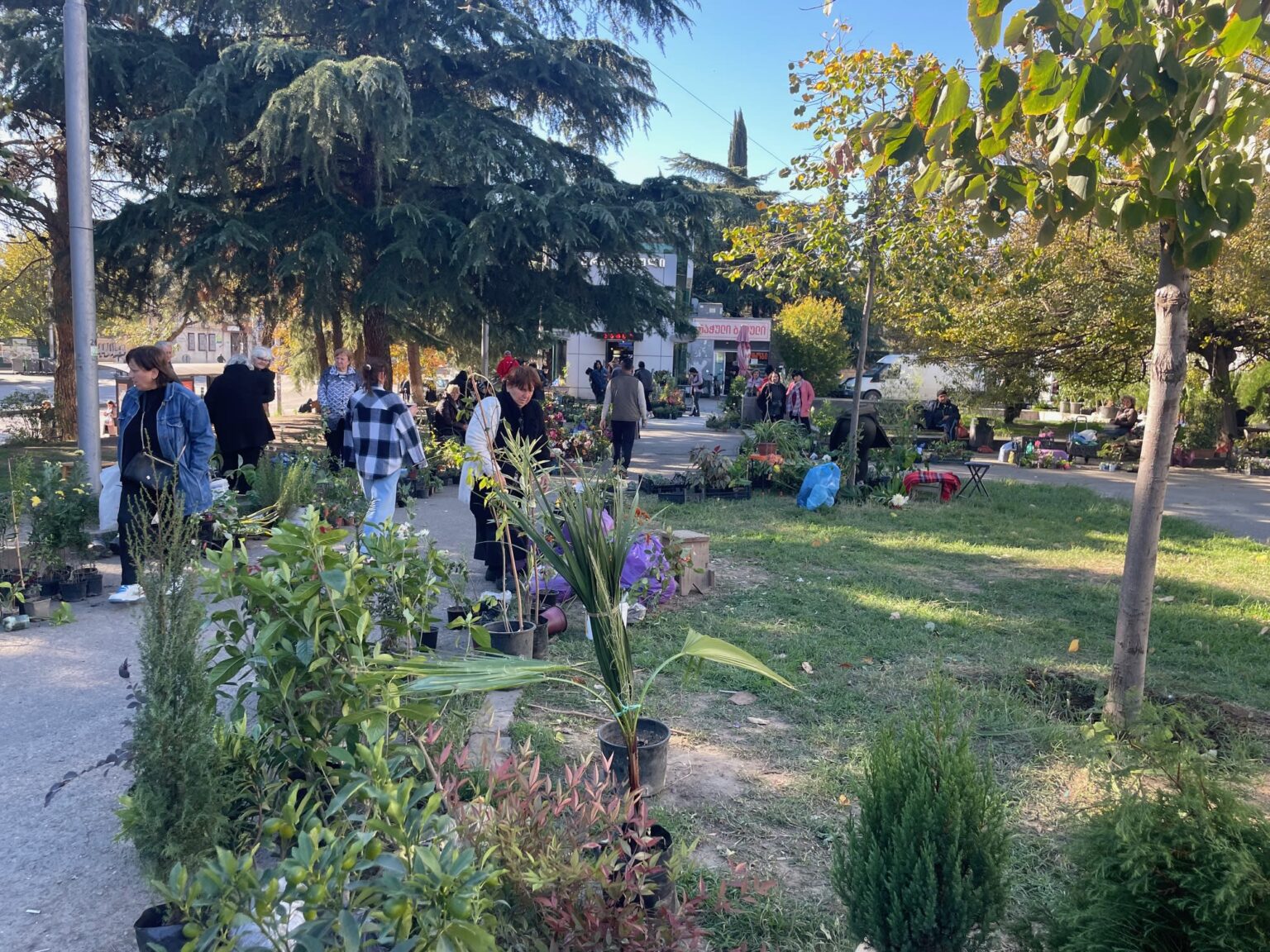 People's Economy in Tbilisi | Journal