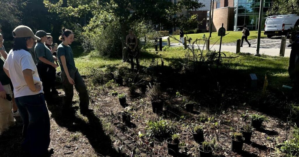 UCF students participate in school's arboretum expansion, promote environmental stewardship | Culture