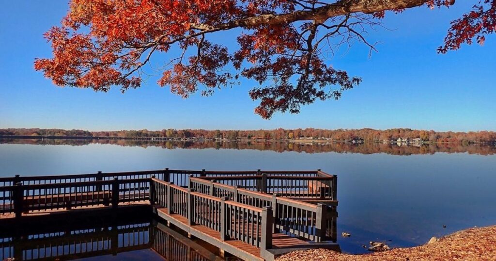 Leaf It! The environment will thank you | Community