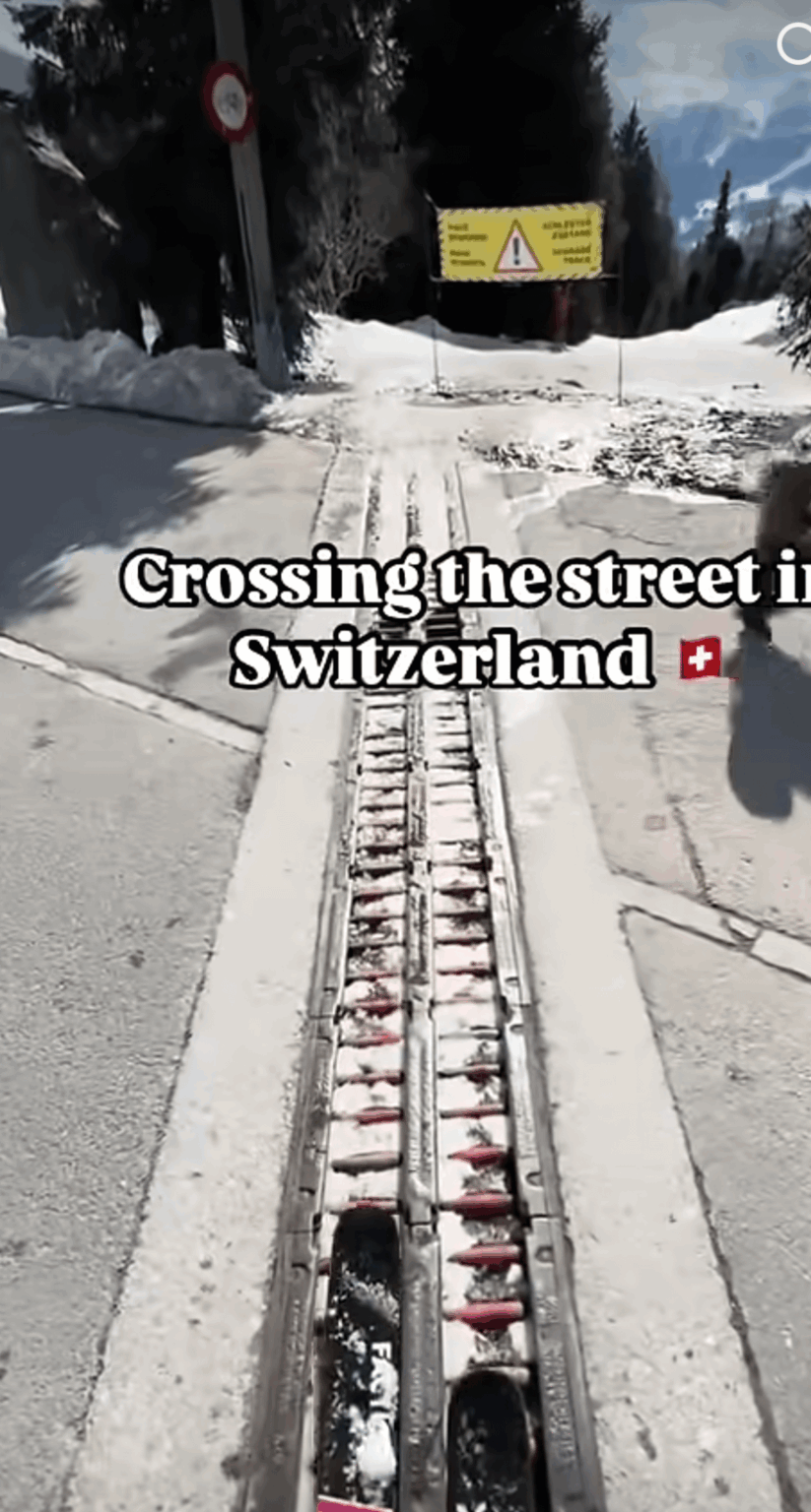 Have you guys ever seen a ski crossing? None where I ski