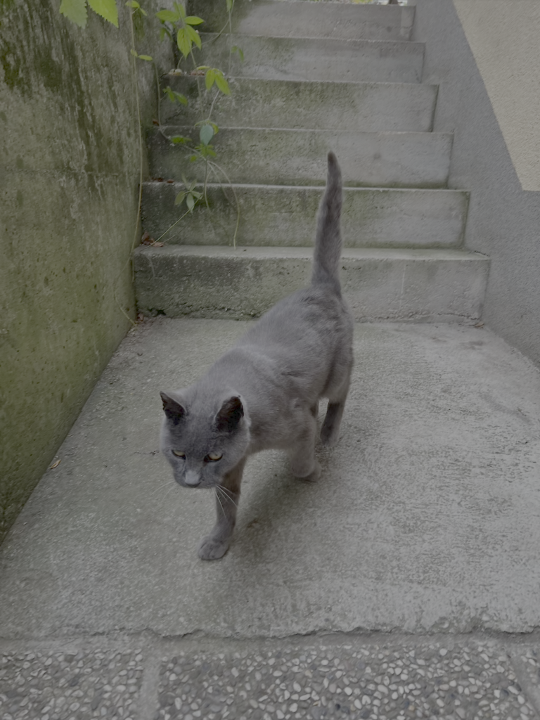 Catbot