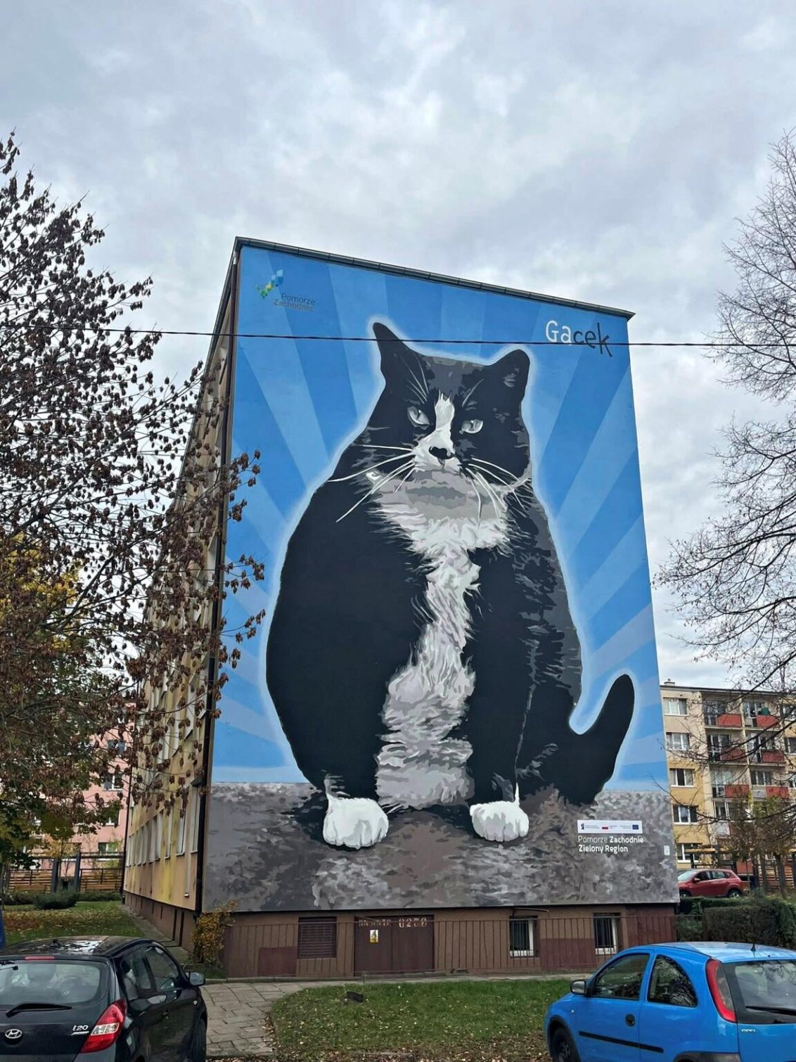 Kot Gacek has his own mural in Szczecin