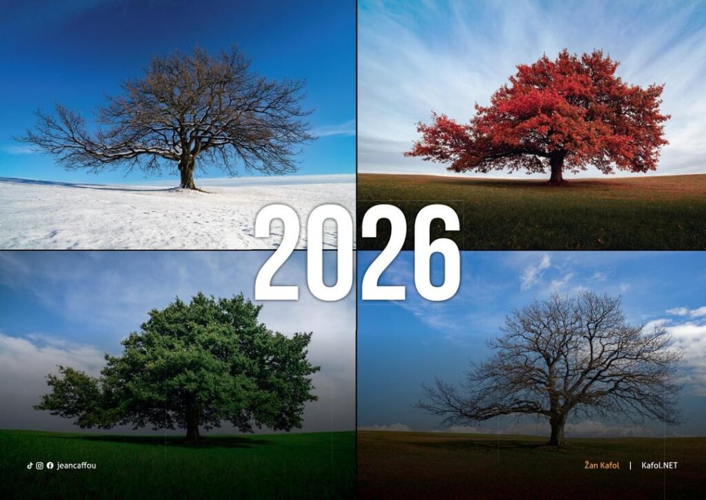 Do you want a calendar?