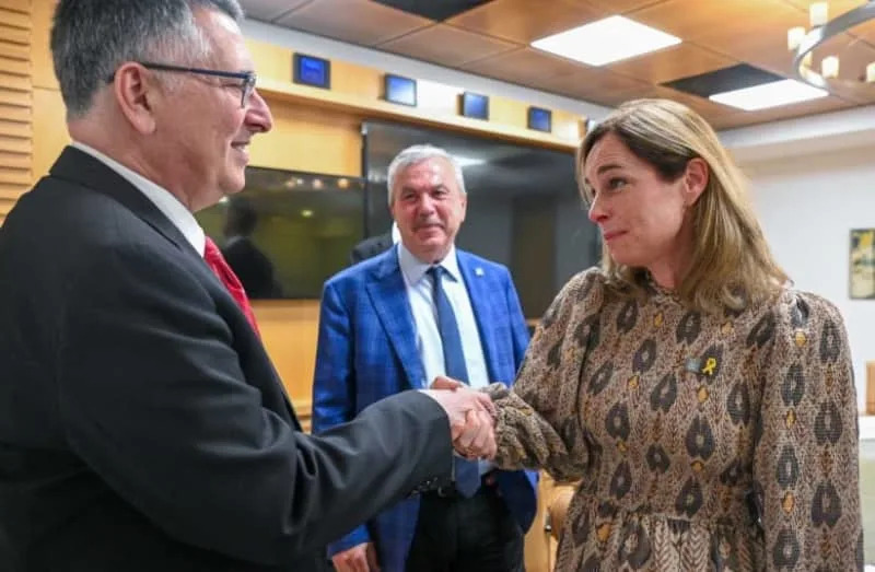 Foreign Minister Gideon Sa'ar met with MEP Hildegard Bentele and the European Parliament's Delegation for Relations with Israel. (credit: The office of MEP Hildegard Bentele)