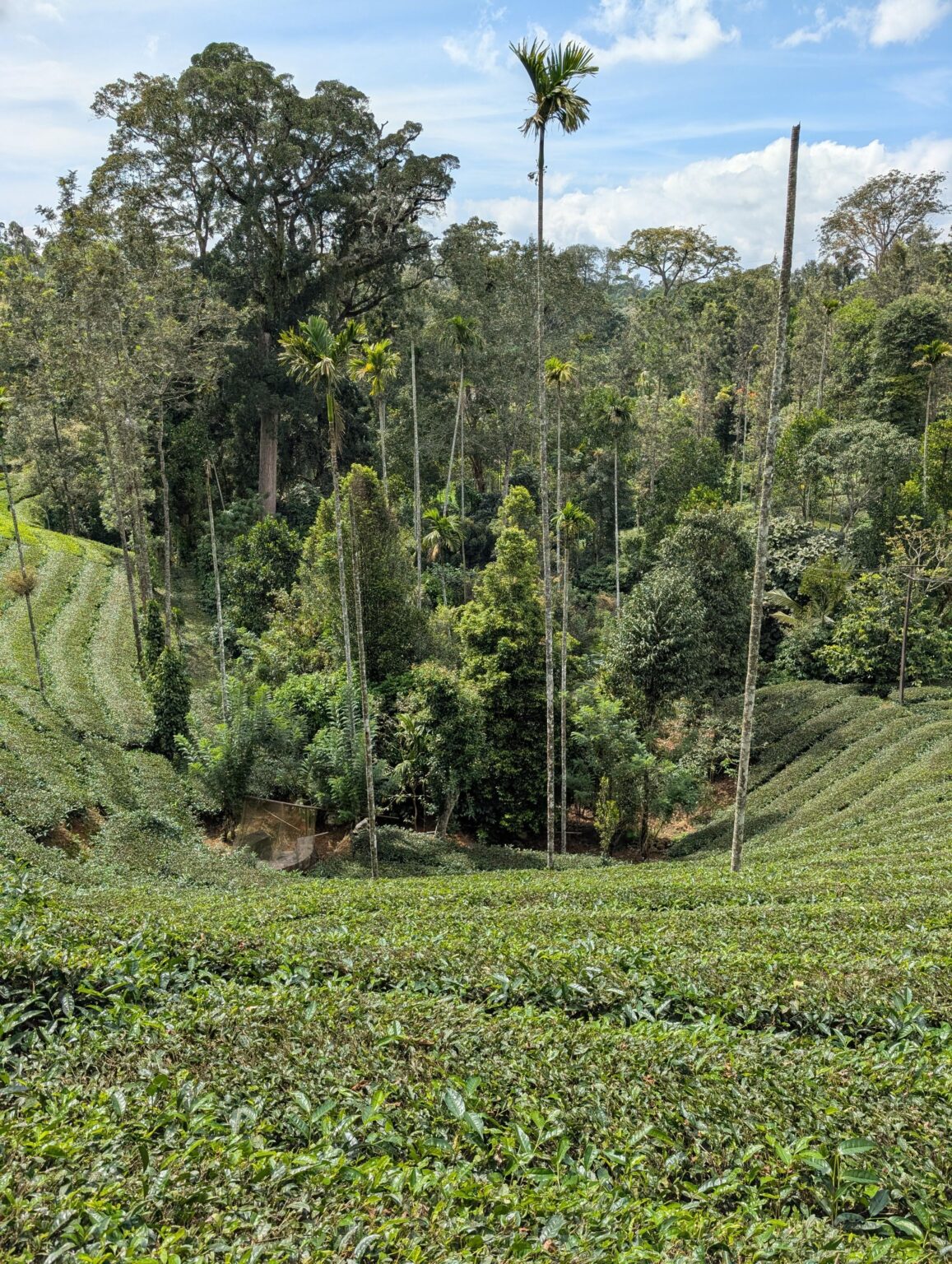 Wonderful day everyone